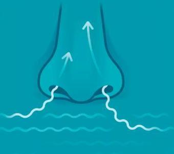 如果水蛭不小心吃掉了怎么办,误食活水蛭有什么危害