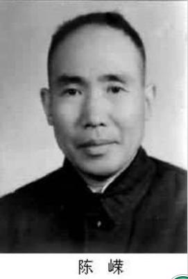 树木由来,树木从远古到现在