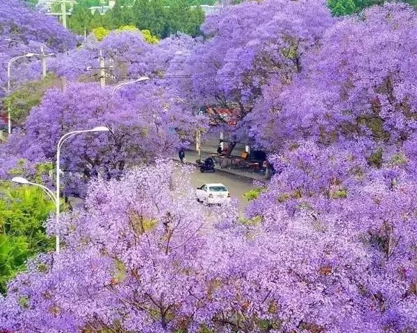 四川藏着一个静谧古城,四川被忽略的古城