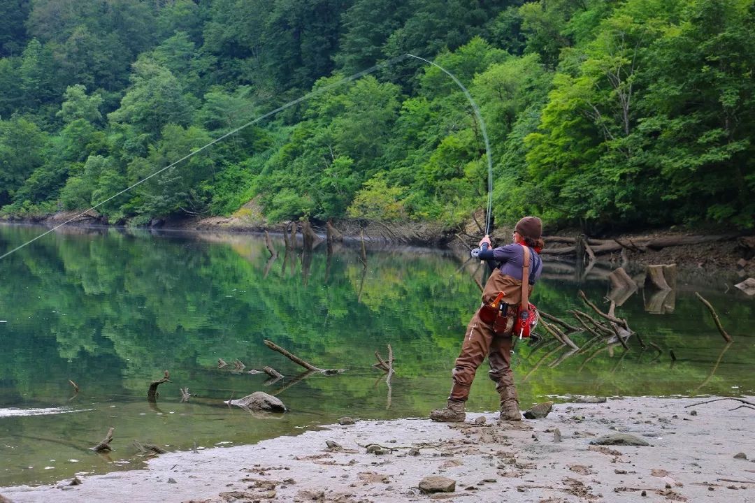 世界十大凶猛淡水鱼类,顶级淡水鱼类