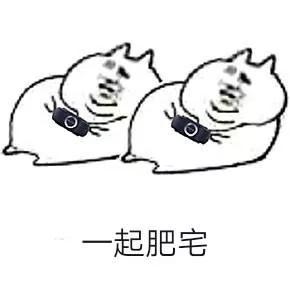 牛心脏疾病,牛心脏上有哪些疾病