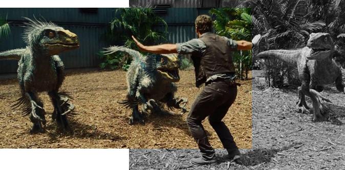 恐龙是温血动物还是冷血,恐龙是热血动物还是冷血动物