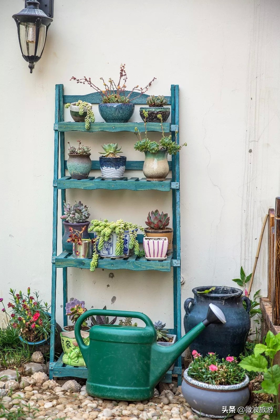 白鹭湾的“选美大赛”，谁是你心中最美的“姑娘”