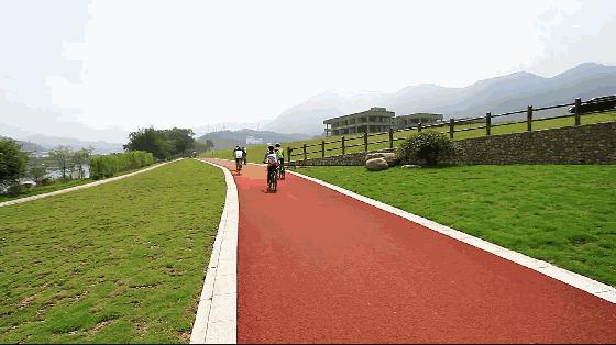 自行车骑行的好处和坏处,骑行运动的好处权威解读