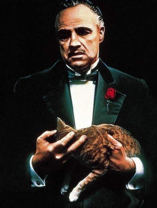 一生要看的50部经典电影励志片,适合10岁孩子看的国产励志电影