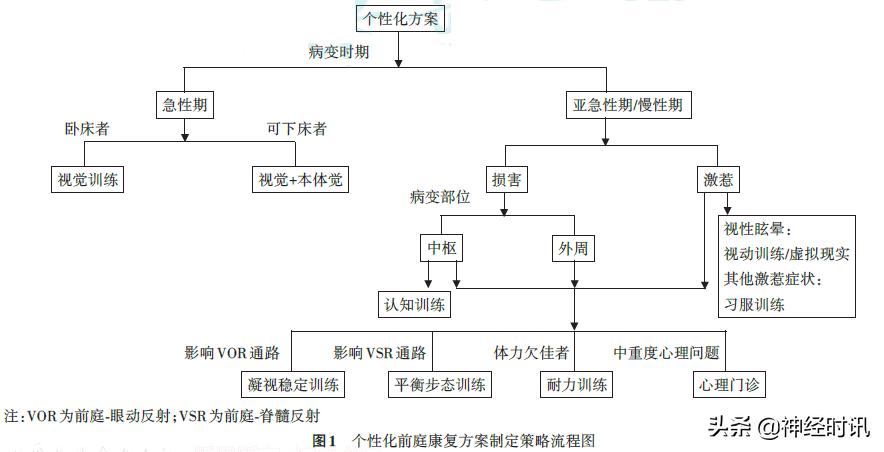 前庭康复常用技术,前庭康复专家