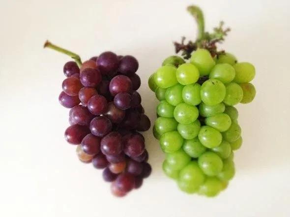 上海特产云片糕在哪买,上海有啥特产值得买的