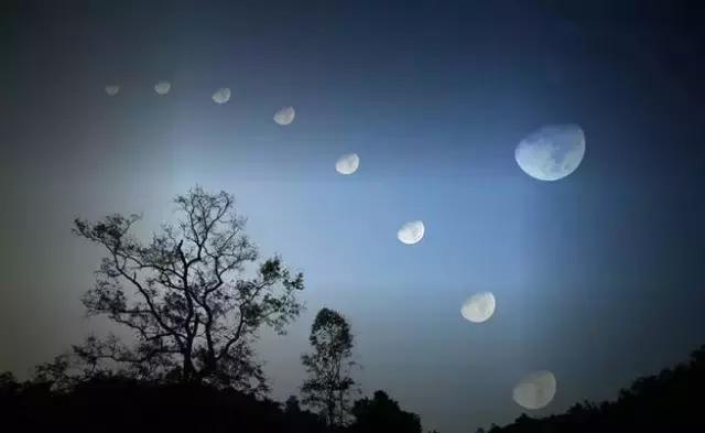 养心莫善于寡欲至乐,养心莫若寡欲郑成功