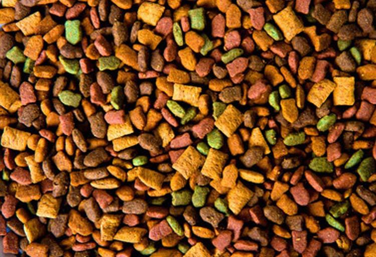 狗粮哪个牌子质量好性价比高,国产狗粮哪种便宜又性价比高