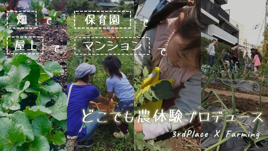 农庄餐饮怎么经营赚钱,怎么经营农家乐卖菜生意