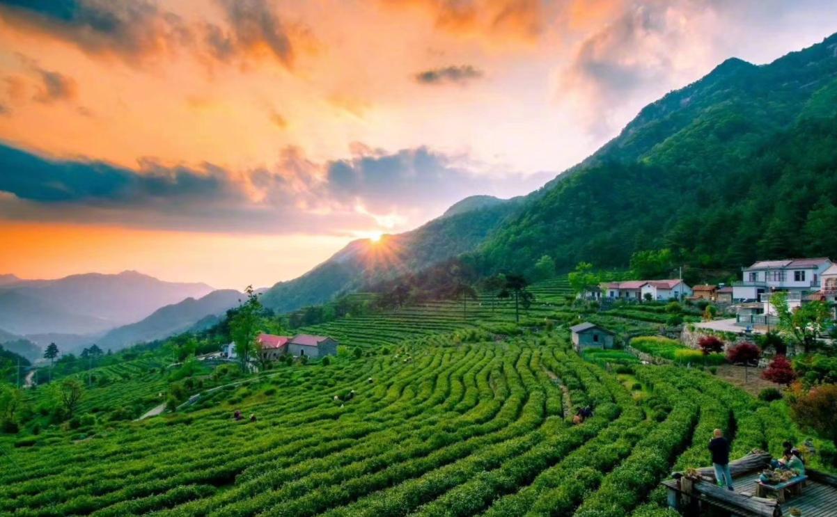 十大名茶中的安徽茶是哪些茶,安徽茶叶中国十大名茶