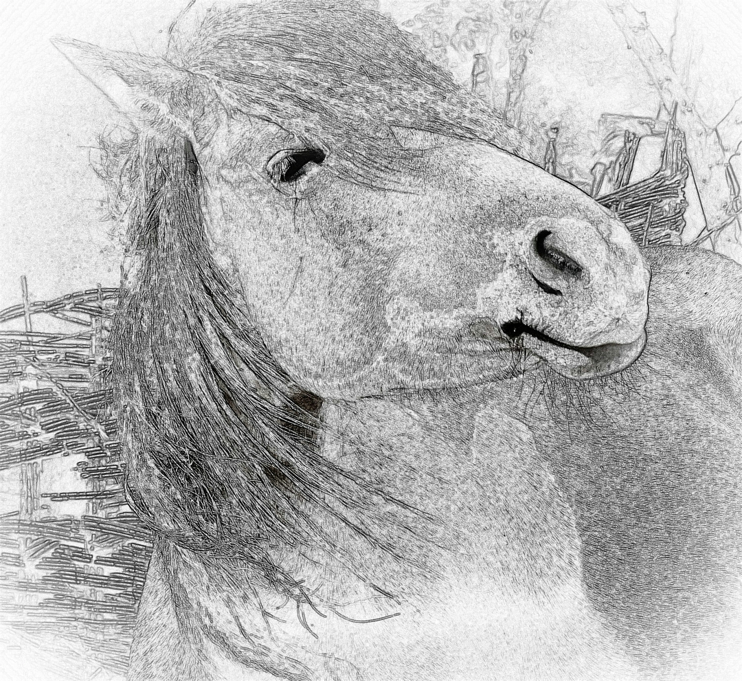 拍马都追不上的成语,拍马都赶不上的成语