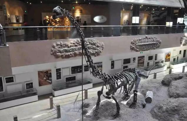 中国恐龙种类有哪些,中国恐龙多少种类