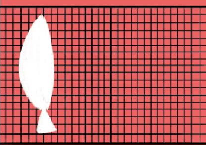 用食材创意绘画,创意思维绘画教程