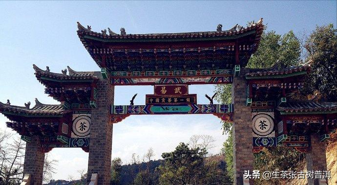 老茶客喜欢易武茶,老茶客都爱喝熟茶