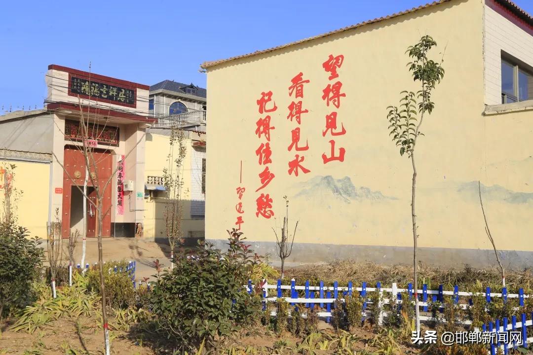 肥乡哪里有足球场,肥乡水上公园足球场