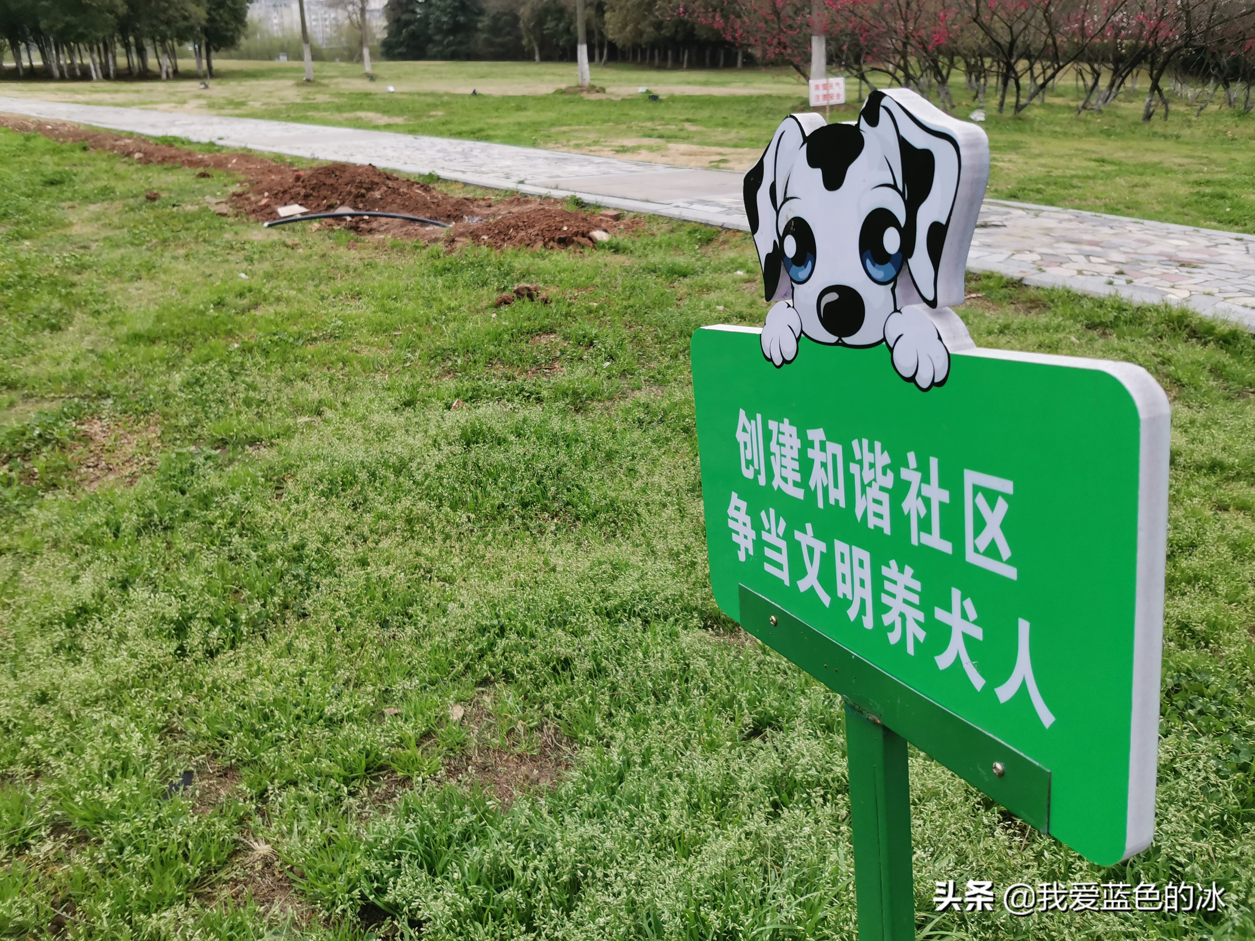 六安月亮岛分岛,六安的月亮岛旁边的小岛