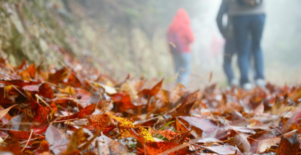 重阳节应该去哪里玩儿,重阳节夜登山赏秋