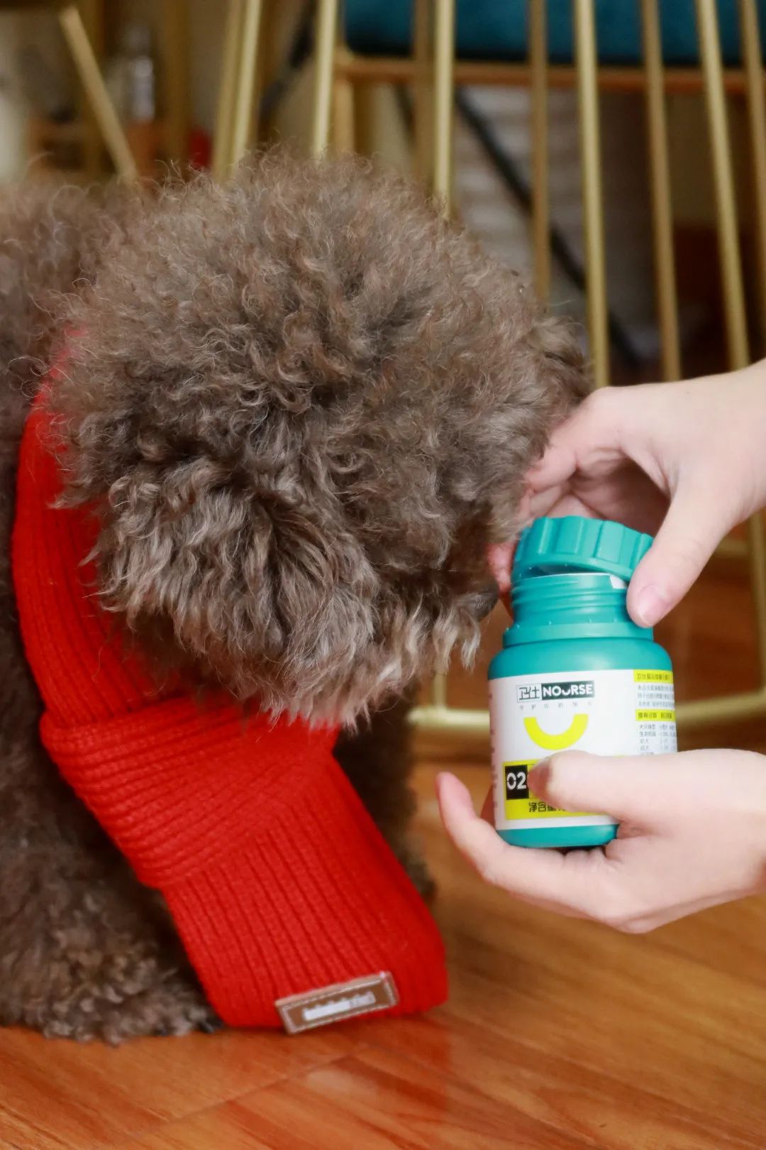 你的专属好物分享,你爱的好物分享