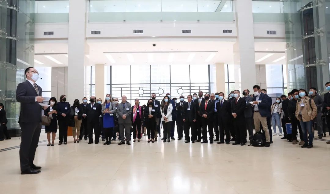 护航大湾区建设的“广知力量”