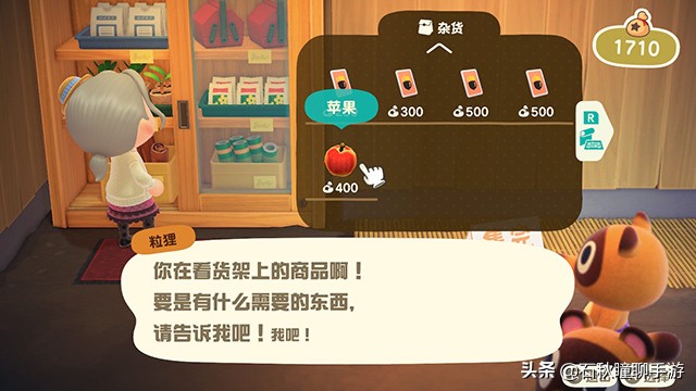 动物之森新手攻略,动物之森100个小技巧