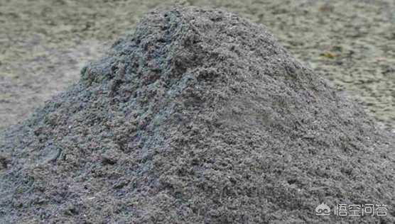 植物浇水太多水黄怎么办,绿植大盆栽水浇多了怎么办