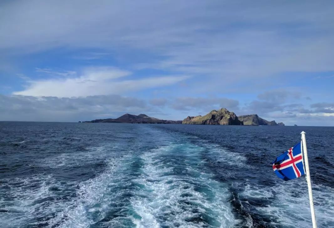 没有买卖就没有伤害的出处,没有买卖就没有伤害动物