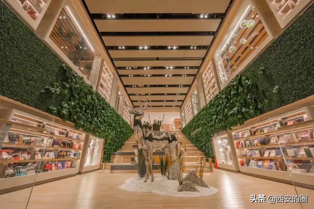 璧拌繘鑹烘湳涔﹀簵,璧拌繎鑹烘湳涔︾睄