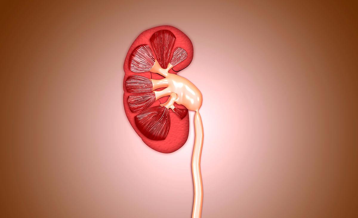 罕见肾部疾病，多发性肾囊肿，了解患病的多种原因，做到积极预防