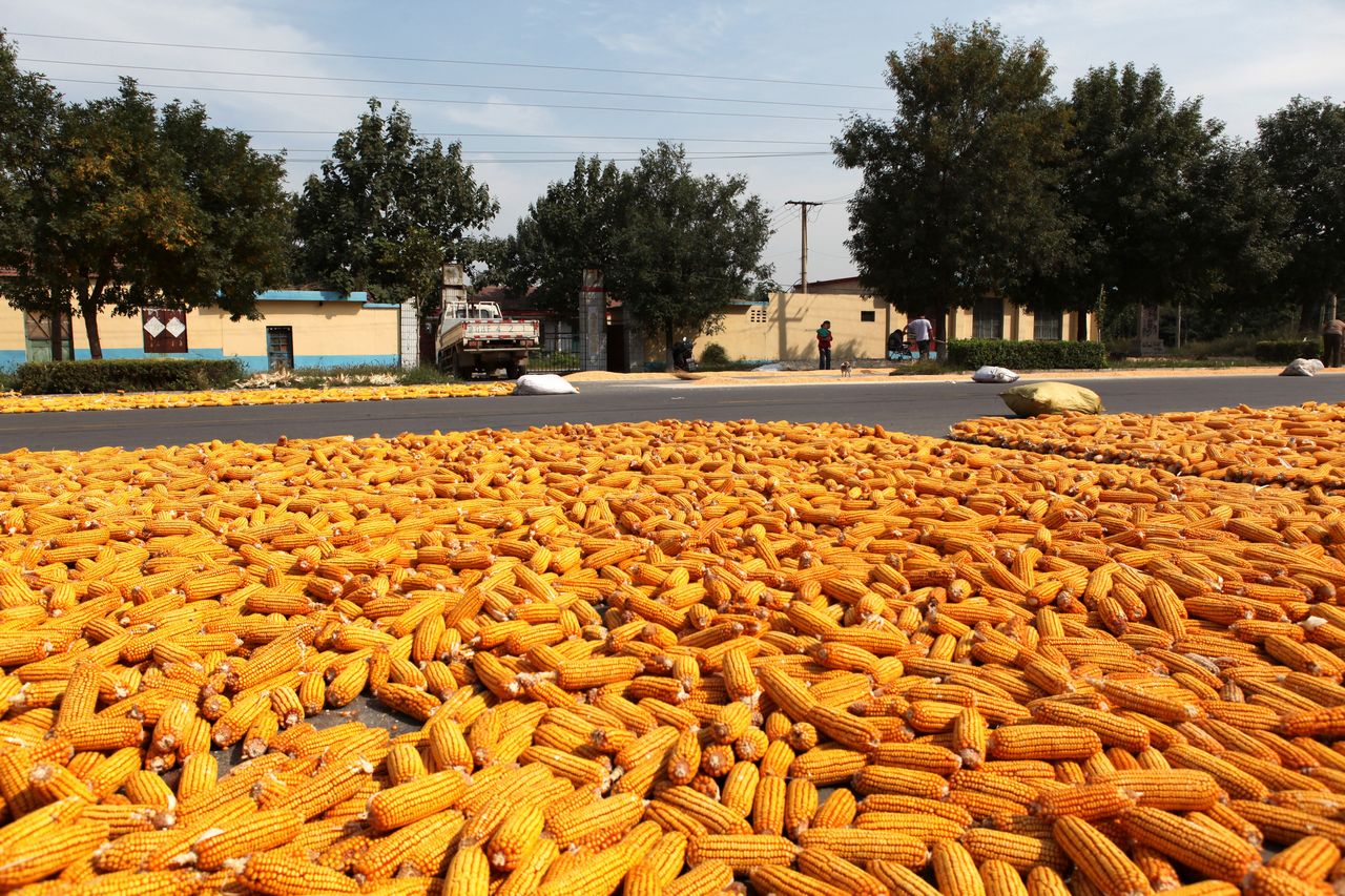 美国粮食价格危机,美国是如何操控世界粮价的