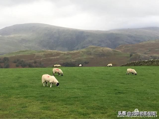 英国湖区景点排行榜,英国旅游推荐海边旅游景点