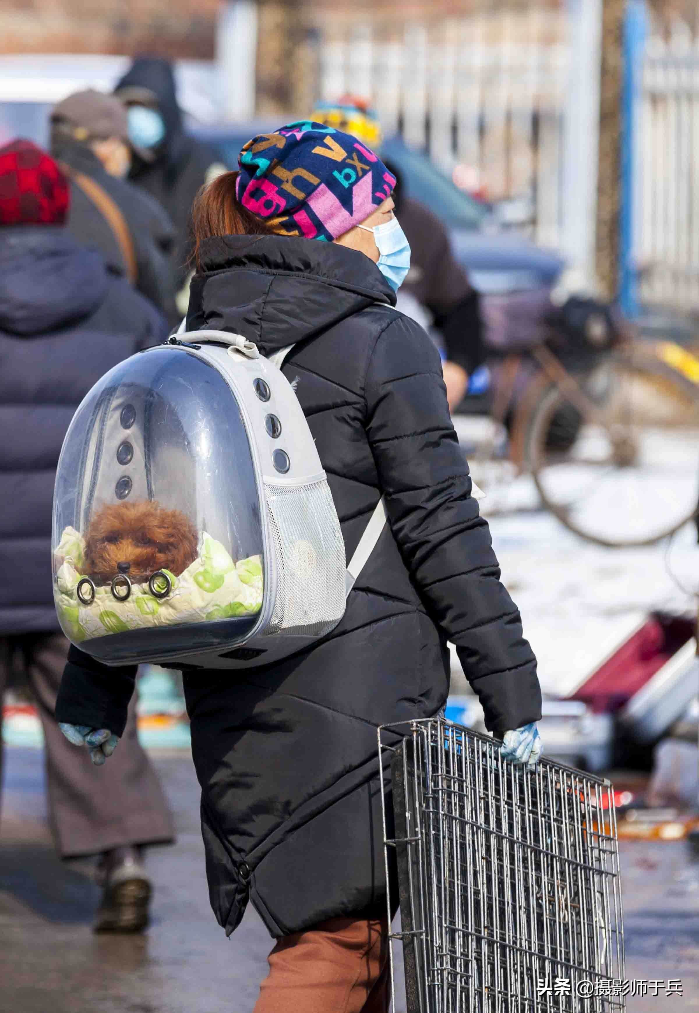 绥化安达狗市,黑龙江省绥化故事之一