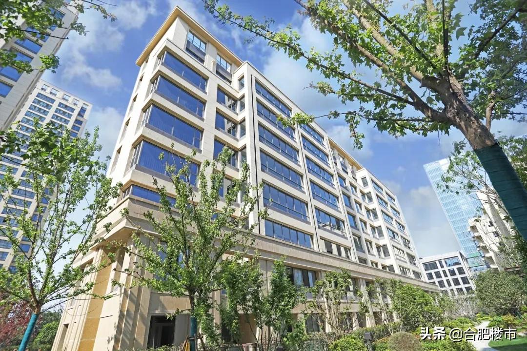 滨湖新区新盘,滨湖新区高档楼盘样板房