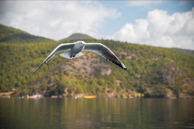 消失的地平线上的“香巴拉”和“女儿国”（二）