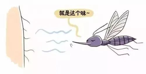 o型血比较容易被蚊子叮是真的吗,o型血怎么防蚊子最有效