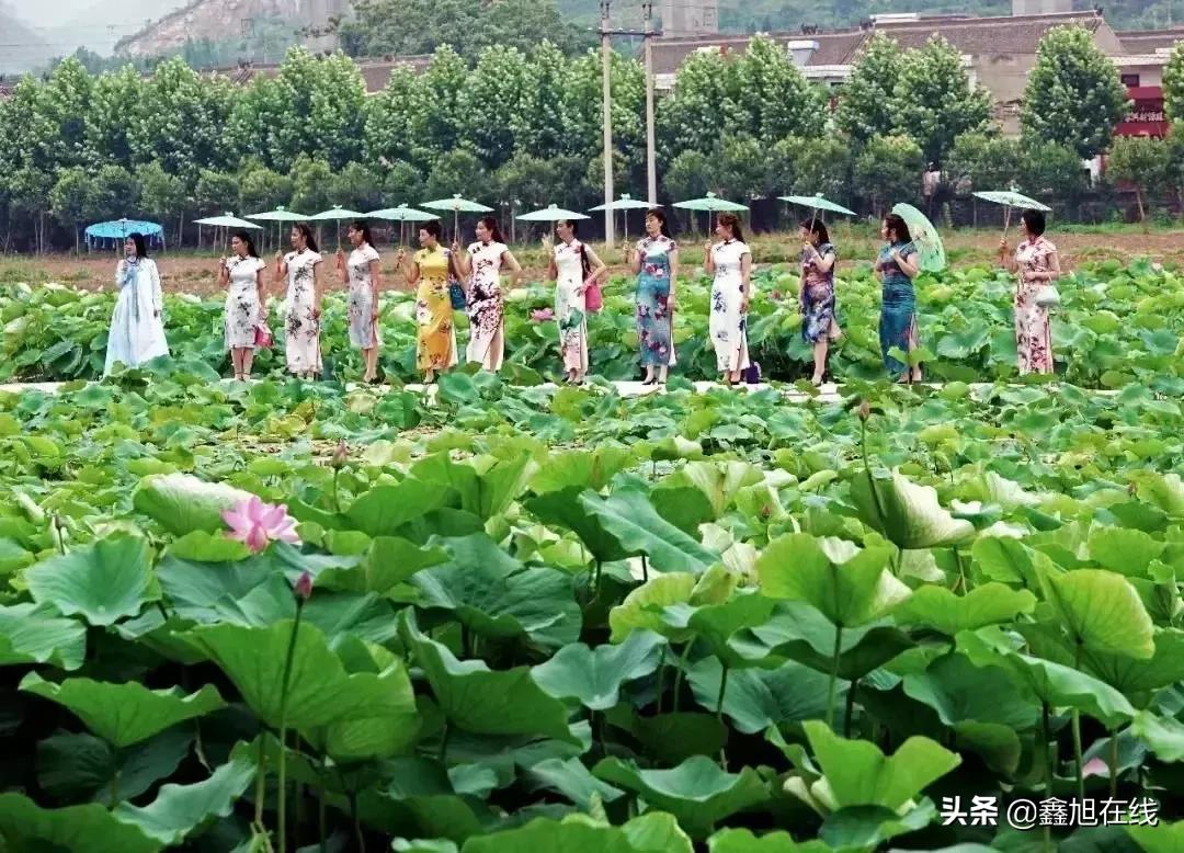 五一旅游济源打卡推荐,济源端午节适合玩的地方