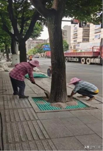 城市双修与城市规划,2019城市双修项目