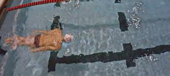 游泳滚翻转身,游泳前空翻练习