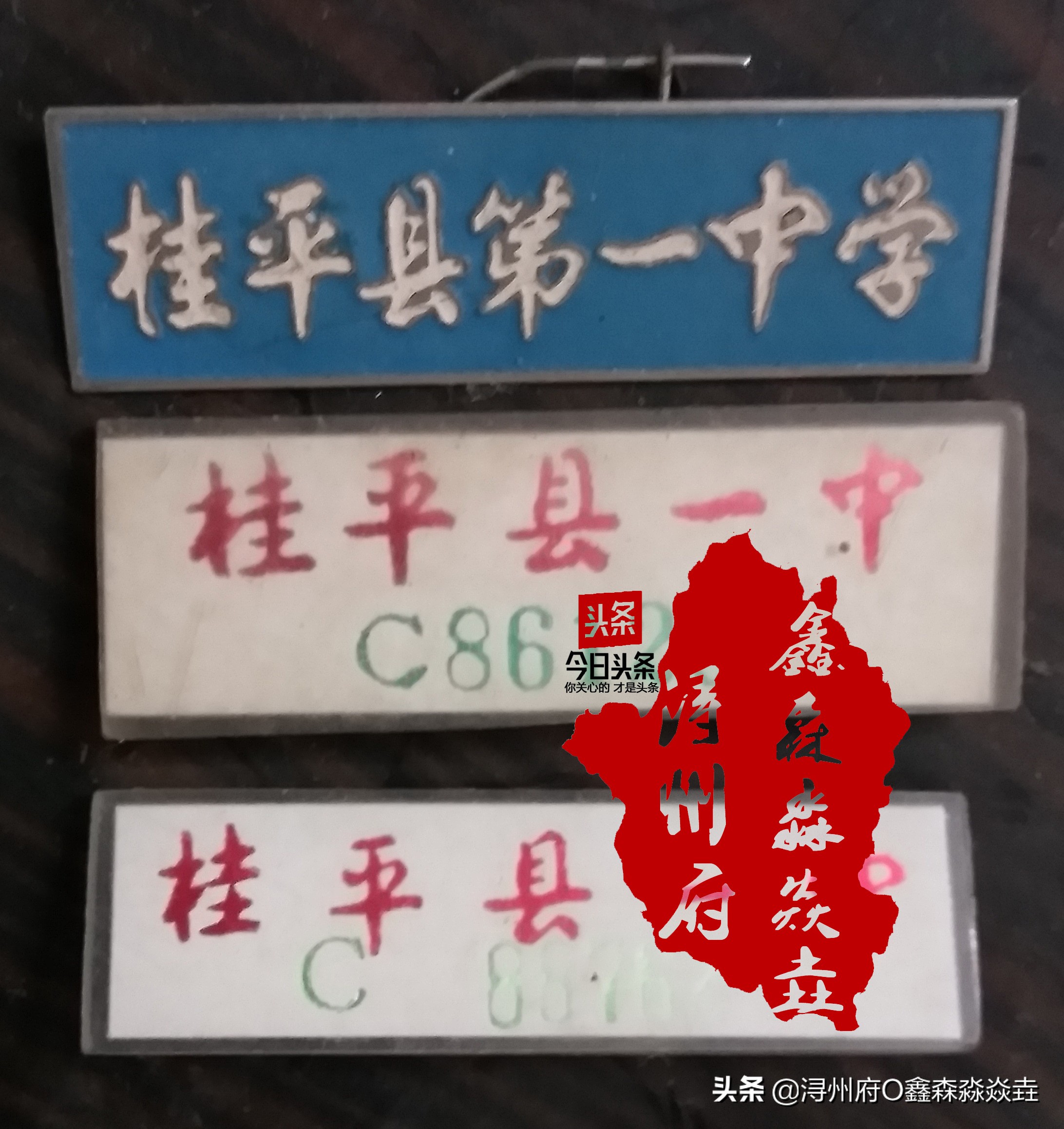 桂平浔州高中校友录,桂平市第一中学知名校友