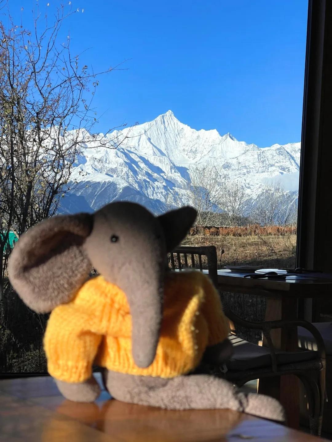 jellycat每一只都是纯手工吗,jellycat的兔子真的很好吗