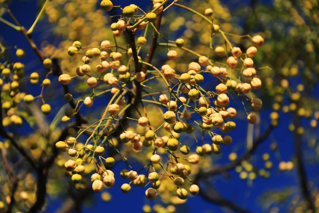 五年前你用过的护肤品,40年前的高档护肤品