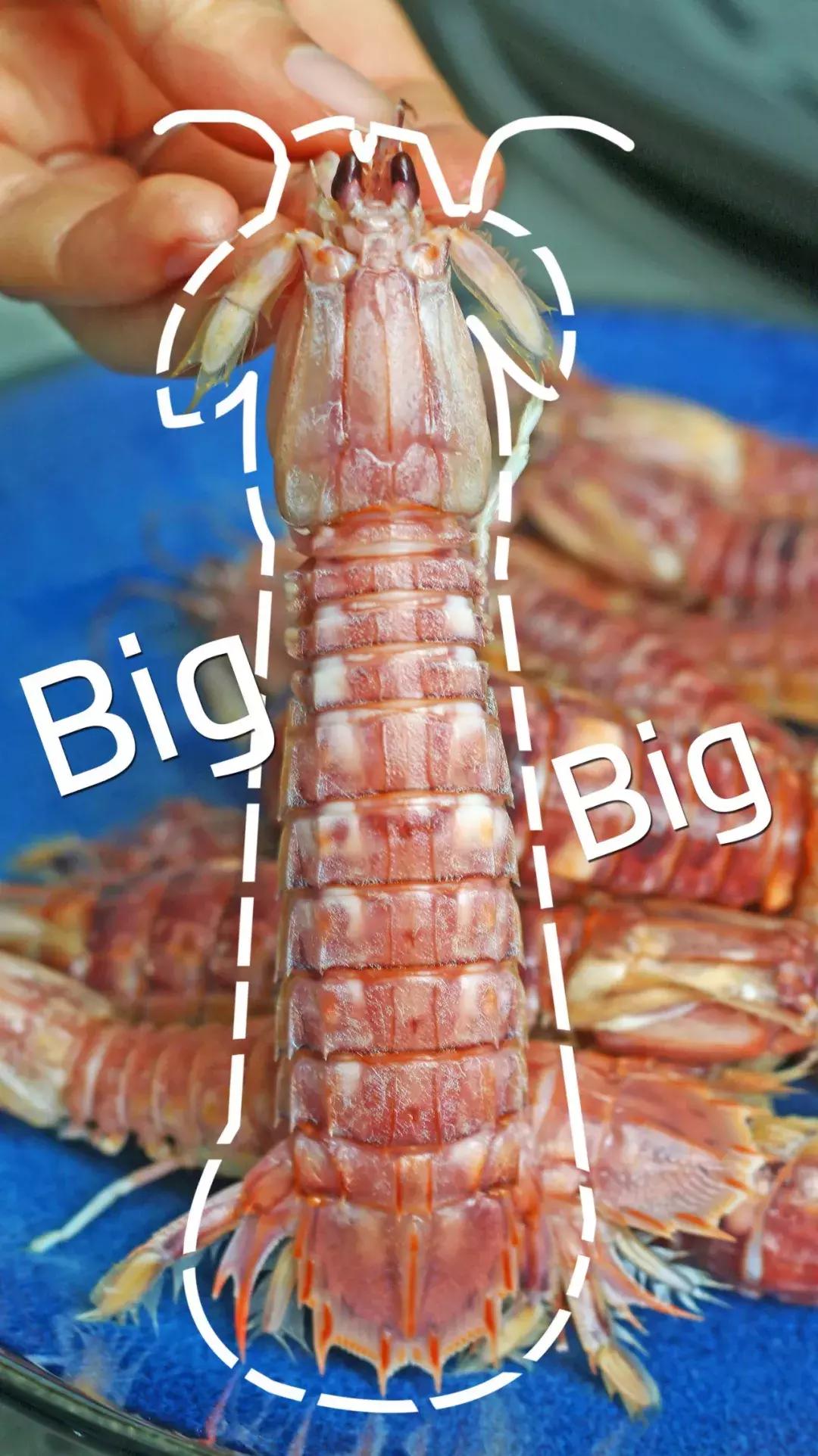 厦门90海里蒸汽海鲜自助,厦门岛内蒸汽海鲜自助