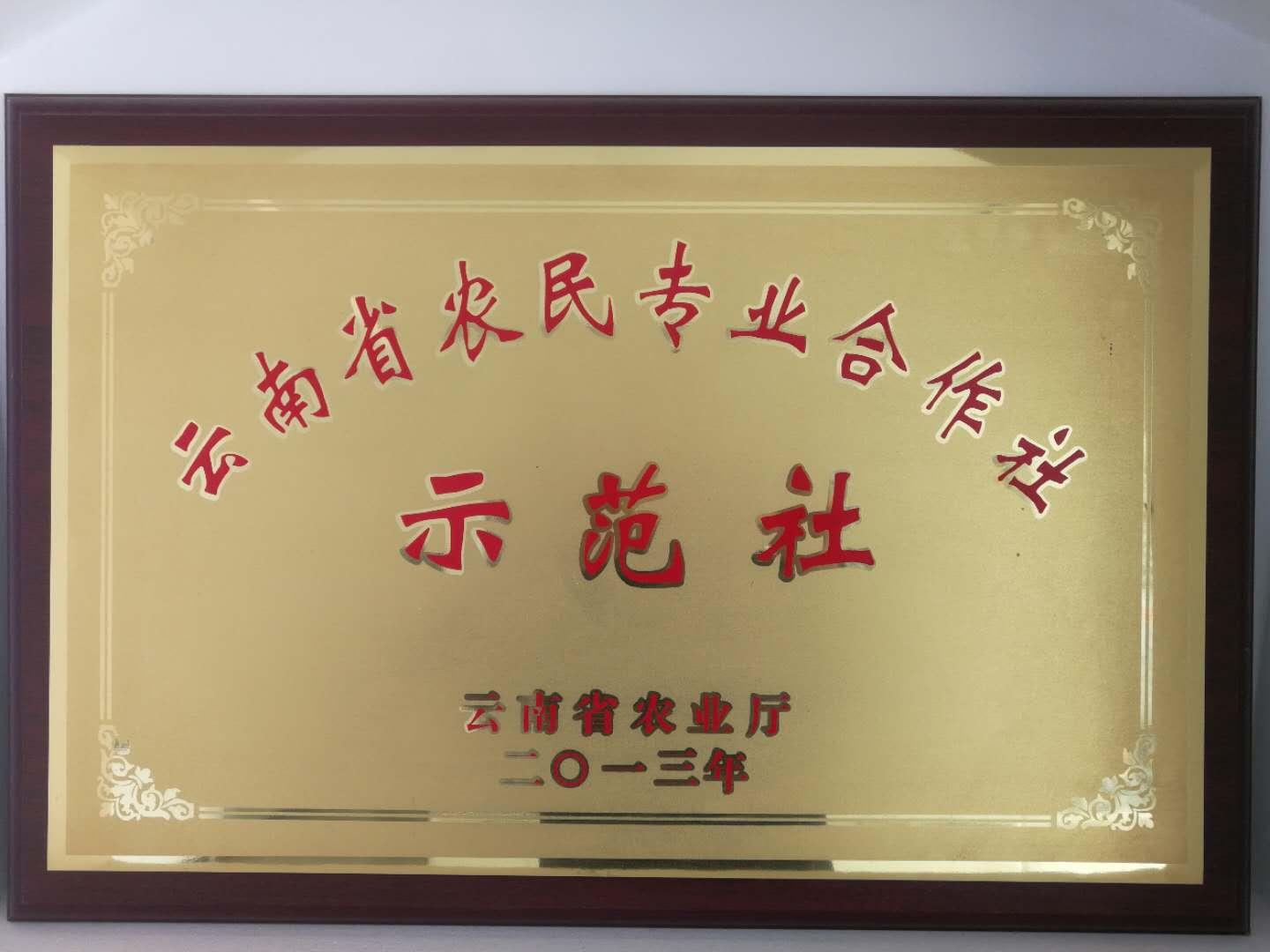 云南省通海县骄阳花卉种苗专业合作社风采(组图)