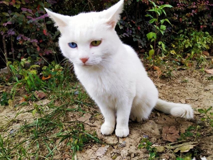 关于宿院的寒假动词