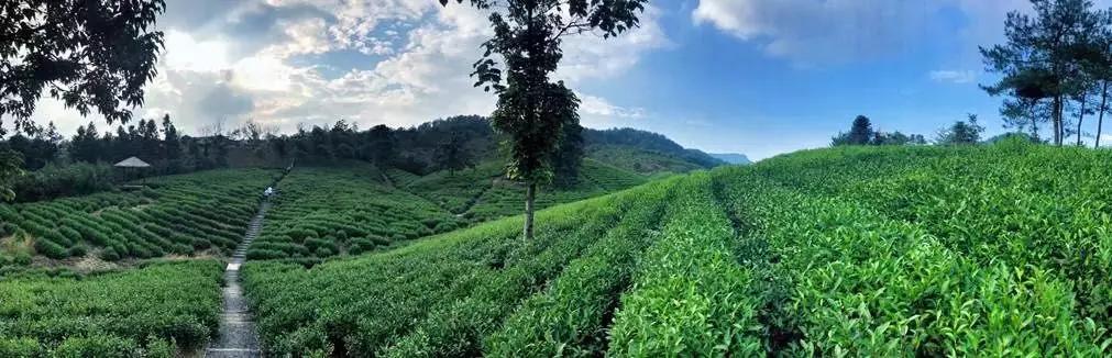 绿城桃花源里庭院探秘,绿城第10座桃花源