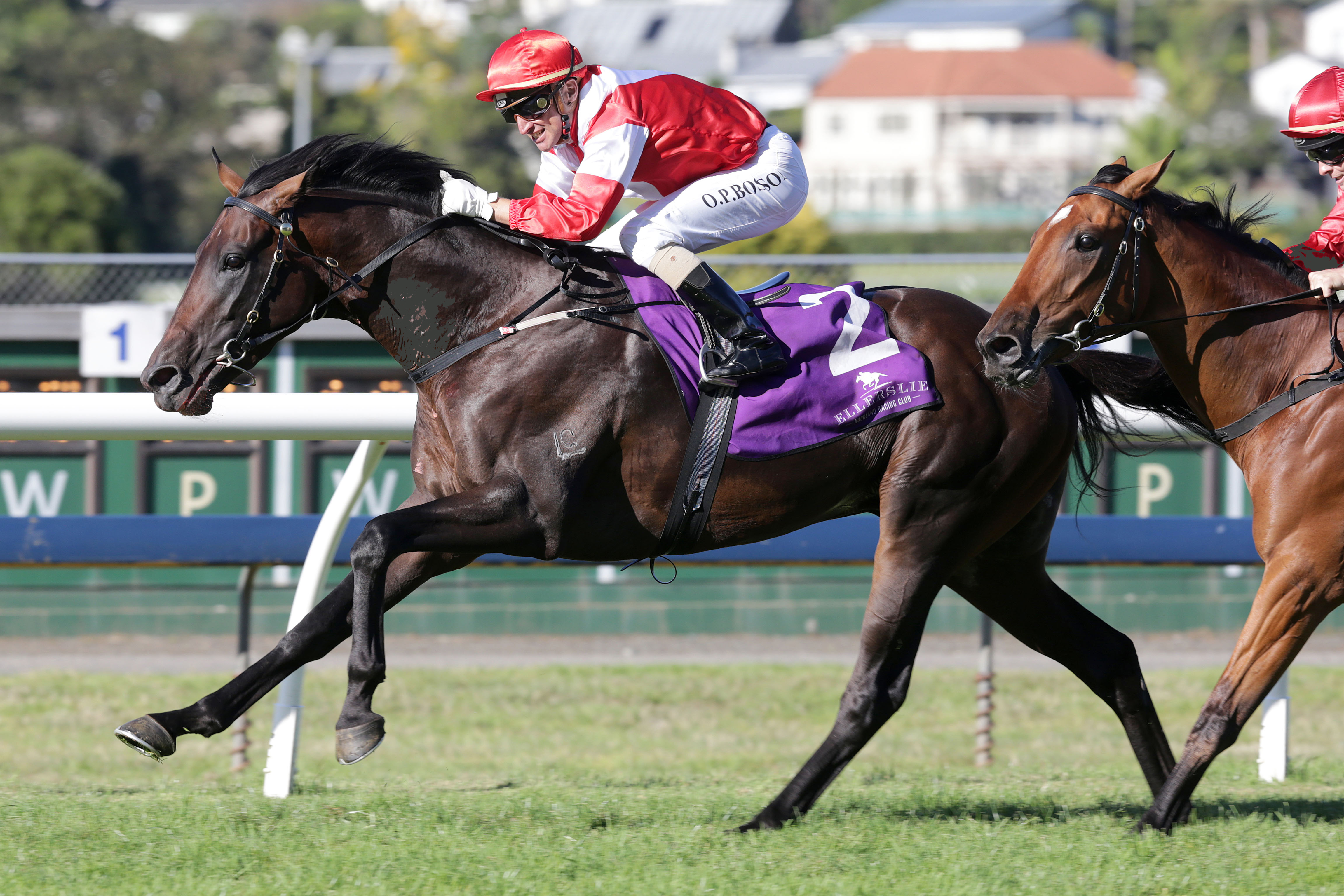 踏马滇池？百万名马乘骑等你来体验