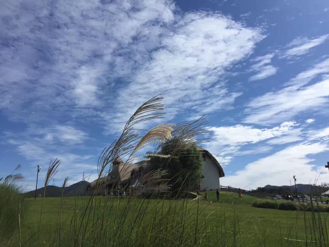 大连旅游攻略精致景点推荐,大连必去的打卡景点