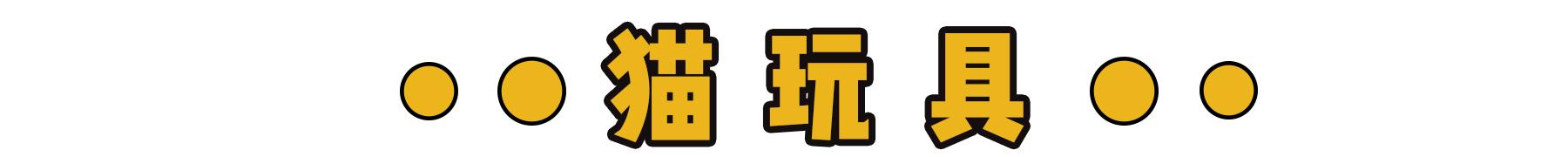 新到家猫咪需要做什么体检,猫咪到家第一夜铲屎官怎么做