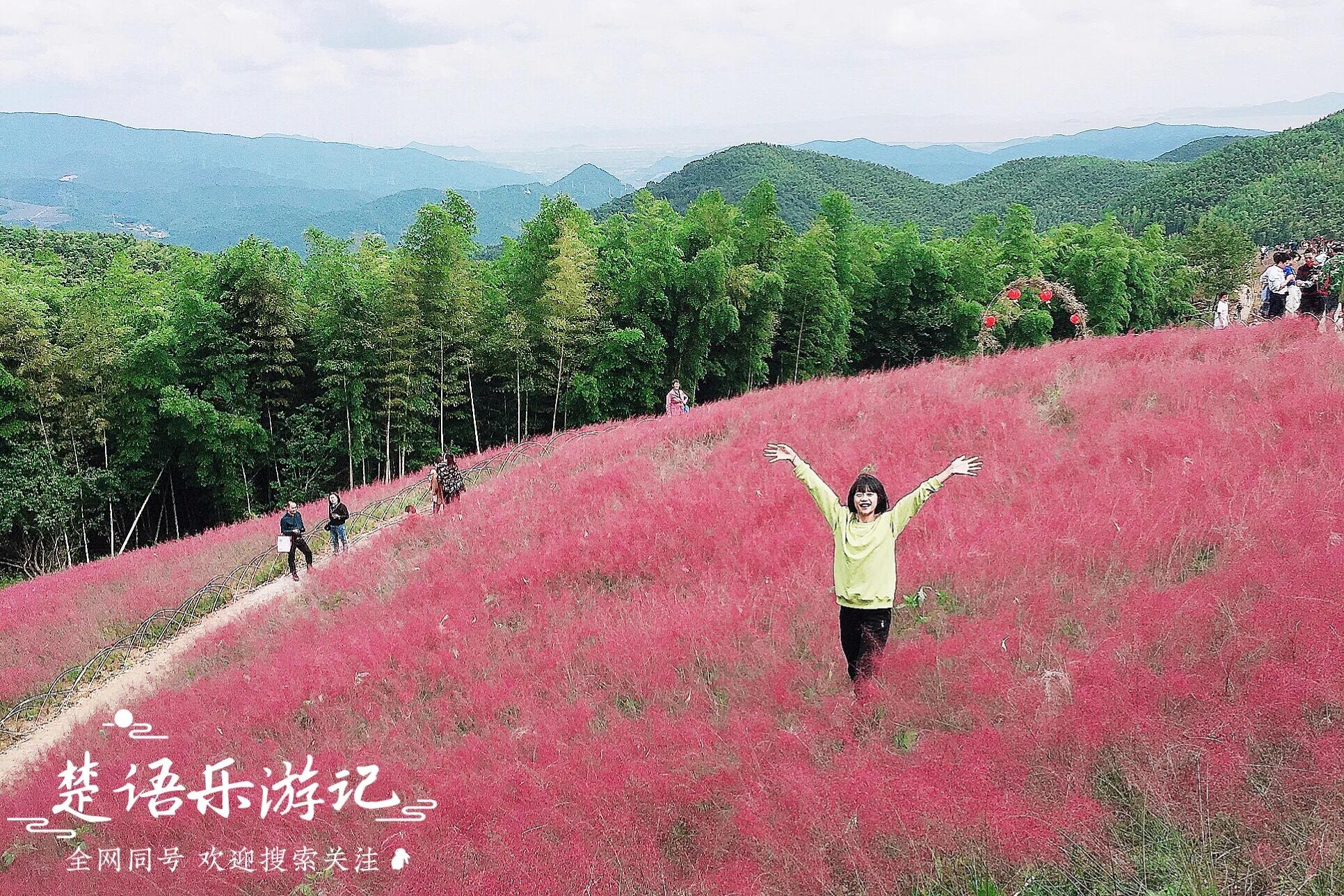 宁波四明山最美古村,宁波又一古镇走红景色不输姑苏