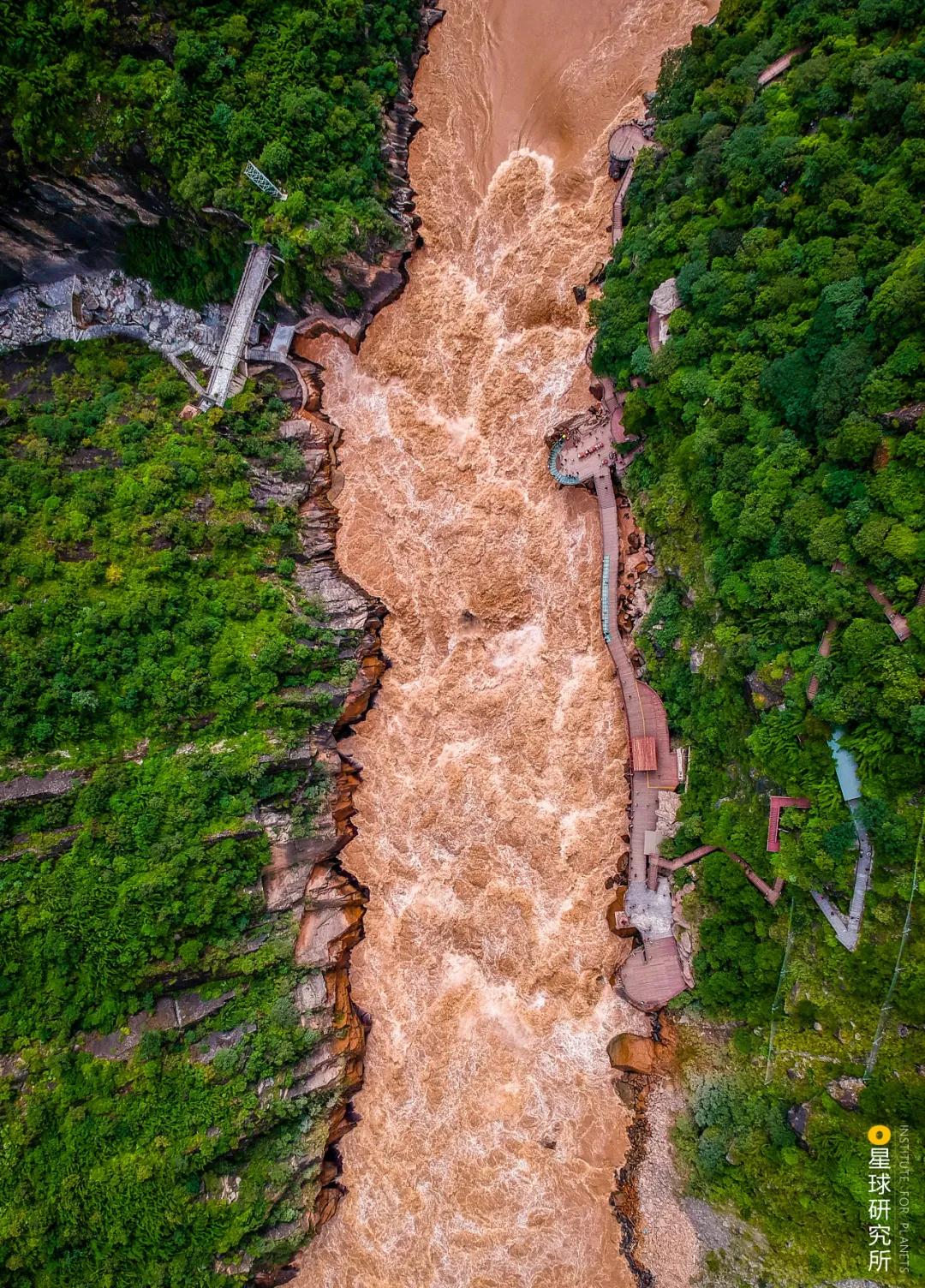 中国植树造林面积,中国植树造林成果国外有什么看法